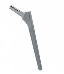Signature LRS stem