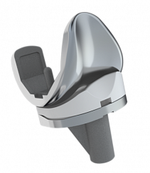 Excel Medial Pivot Knee