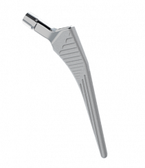 Signature Stem