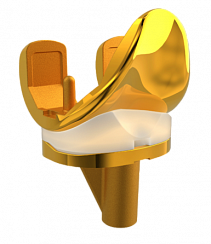 Ouro Excel Medial Pivot Knee