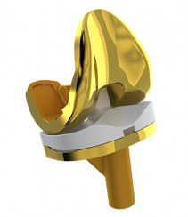 Golden Knee System
